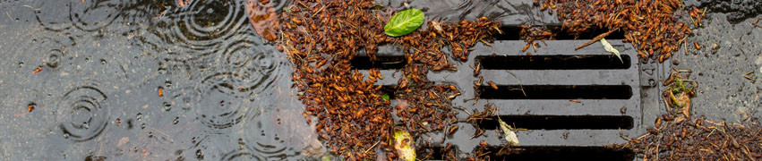 The problems of blocked drains The problems of blocked drains